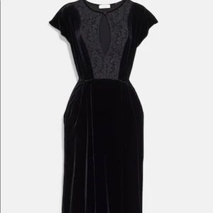 ISO‼️‼️‼️‼️‼️